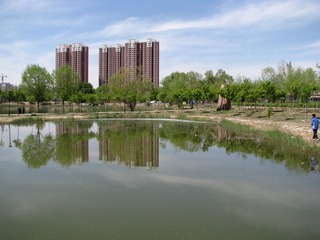 11南湖湿地公园 033
