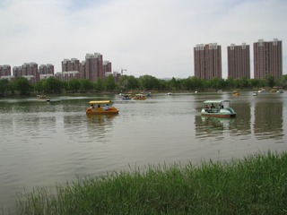 16南湖湿地公园 042