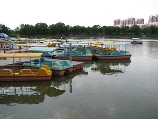 22南湖湿地公园 130