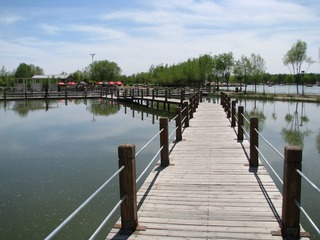 10南湖湿地公园 032
