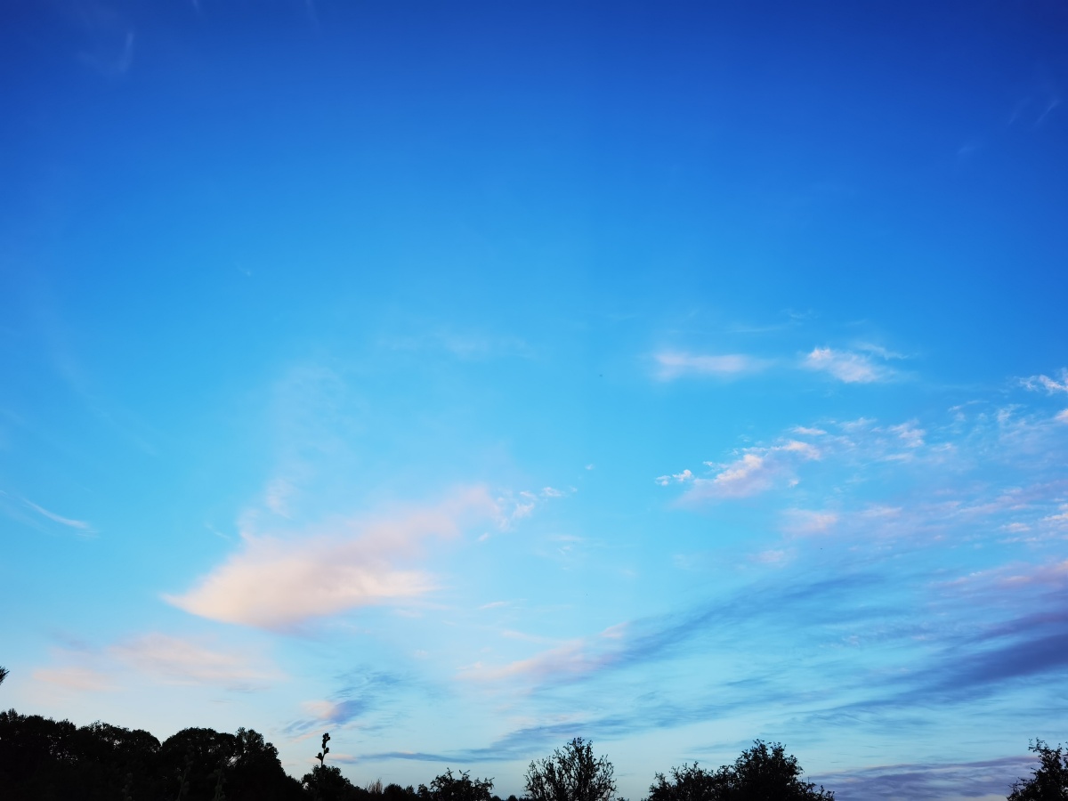 天上冻云弥漫,片片如鱼鳞模样.