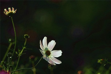 1692040