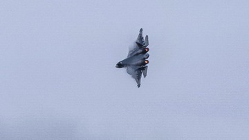 1000028176
