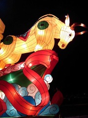 IMAG0039