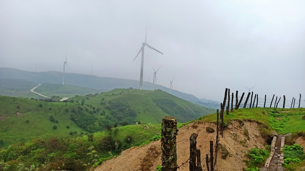 桂林资源十里平坦高山草甸