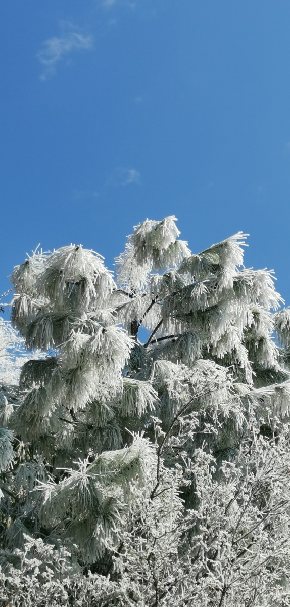 桂林全州天湖雪景