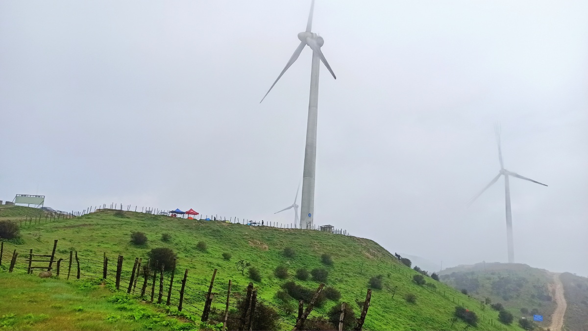 桂林资源十里平坦高山草甸