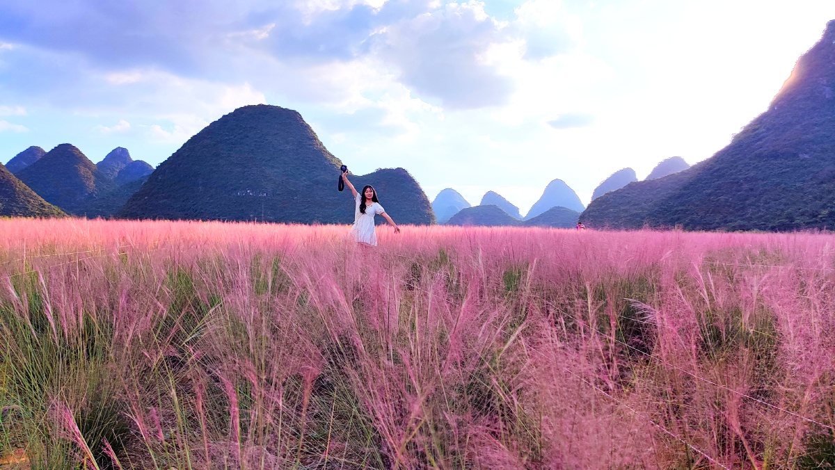 都是摄影师风景优美的山花场薰衣草色薰衣草干草地农村草原树桂林桂林