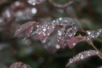 2010566