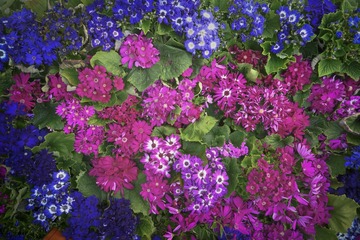 67A23CF7-C777-409D-BE92-D2F2494A9AB0/L0/001