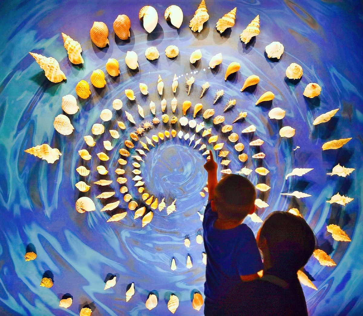 自然博物馆-贝壳墙