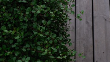 0EB05C87-F476-41C0-9F2E-7BFD59D4758F/L0/001