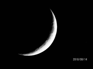 97629AE6-3796-461D-A20F-D282887F5F30/L0/001