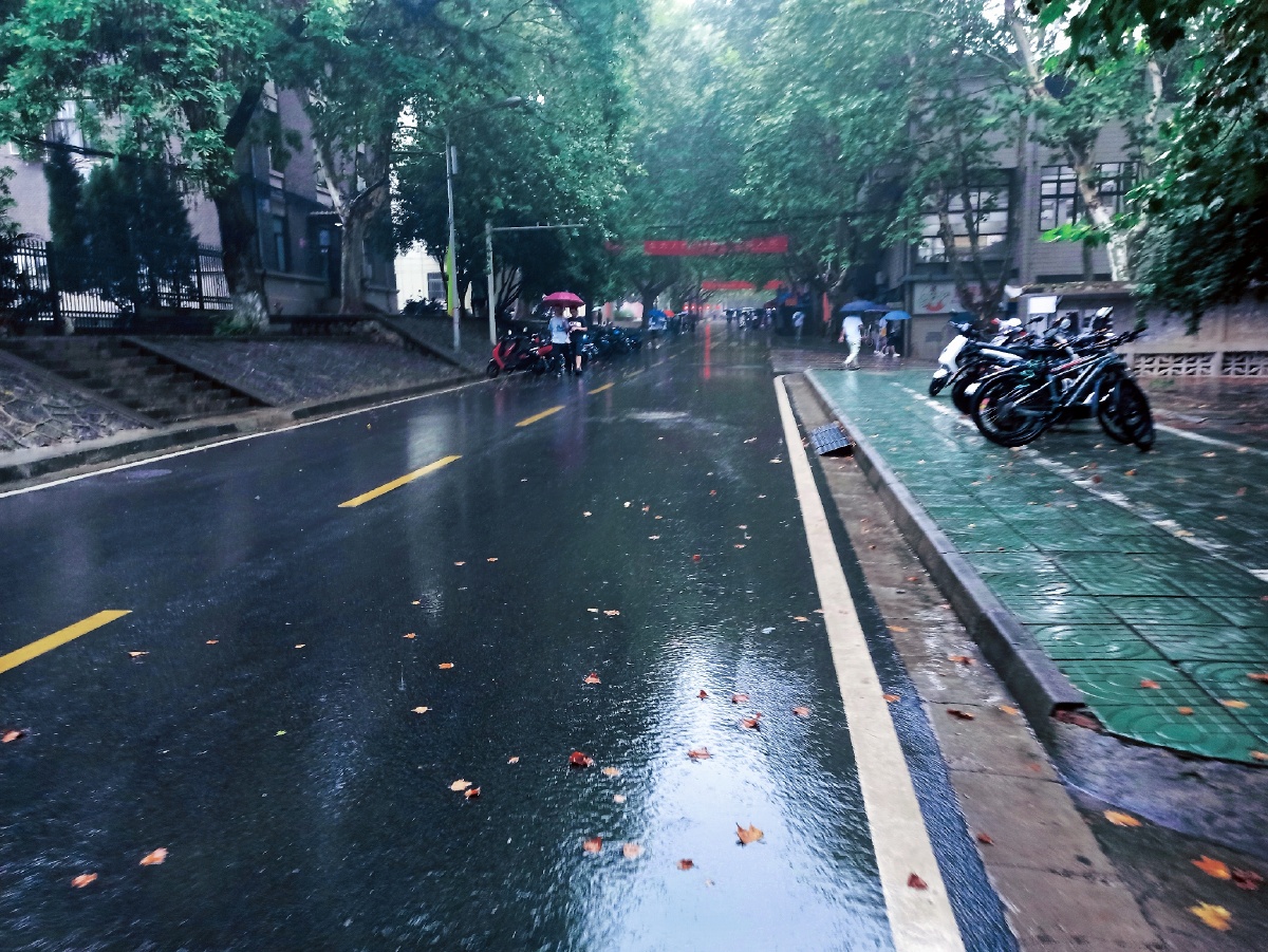 清晨小雨校园