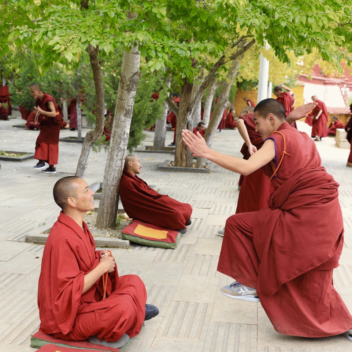 【甘丹寺】辩经 辩经是佛学用语,是对佛教理论的辩论.