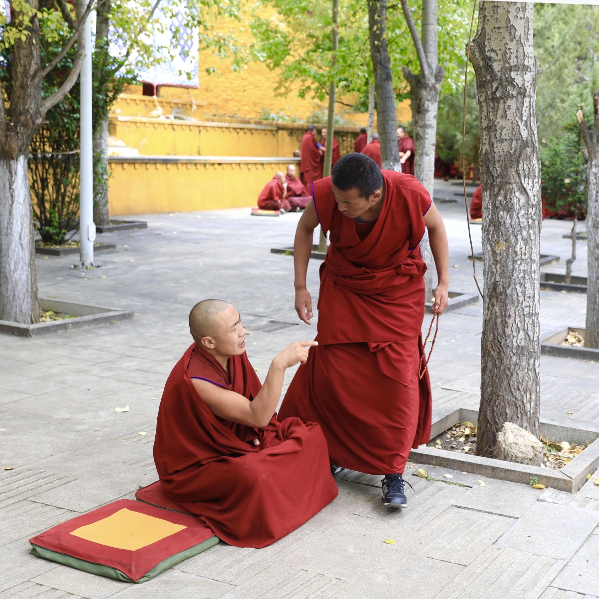 【甘丹寺】辩经 辩经是佛学用语,是对佛教理论的辩论.