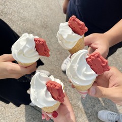 176559
