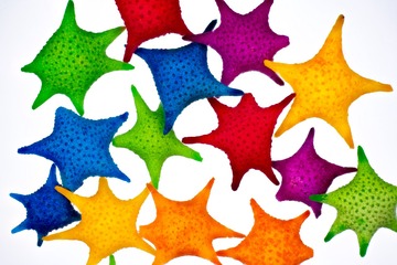 619F4CE3-1E00-4A41-87F6-F61F97466304/L0/001