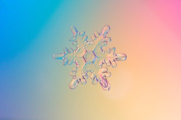 A6B2B200-4767-4EAE-974B-570AE358778D/L0/001