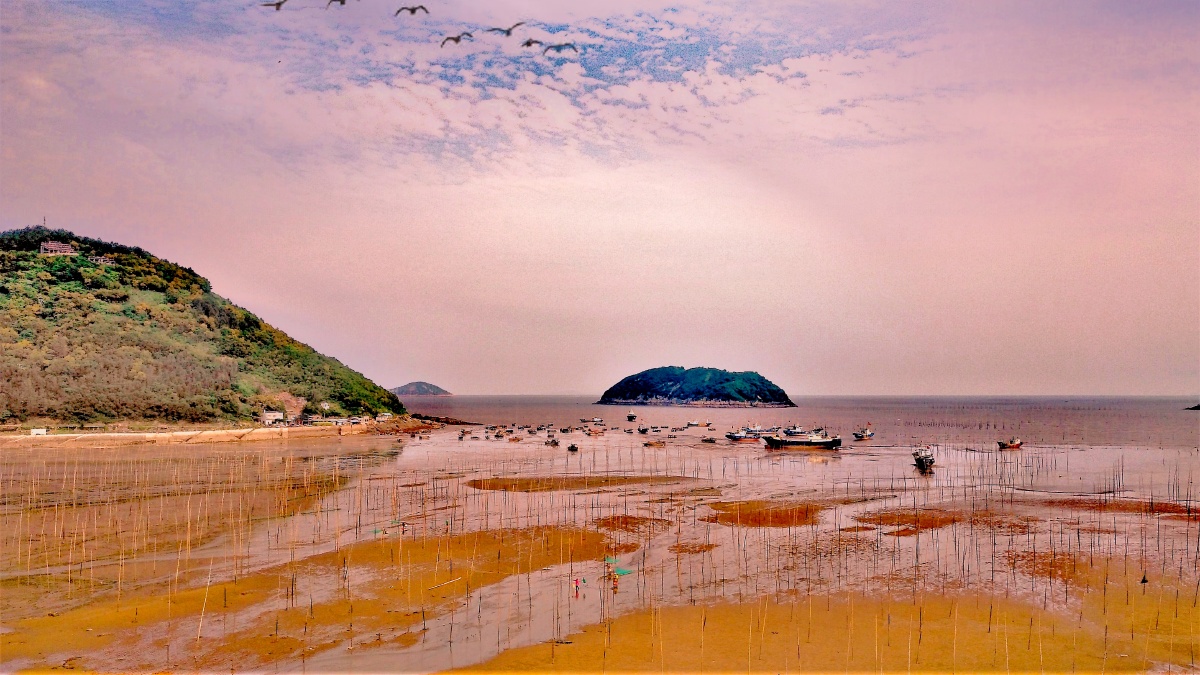 东壁是霞浦三沙镇一个面朝大海的小渔村距离霞浦县城28公里这里依山傍