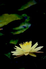 E0D701E8-F3DB-4BF6-A533-C717038EEAC4/L0/001