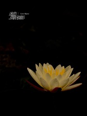 B9BFE3B1-F065-480F-A6D9-473DD197EF6D/L0/001