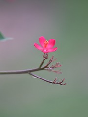 6329CC76-CD25-4174-BCB1-1D9036BC6E36/L0/001