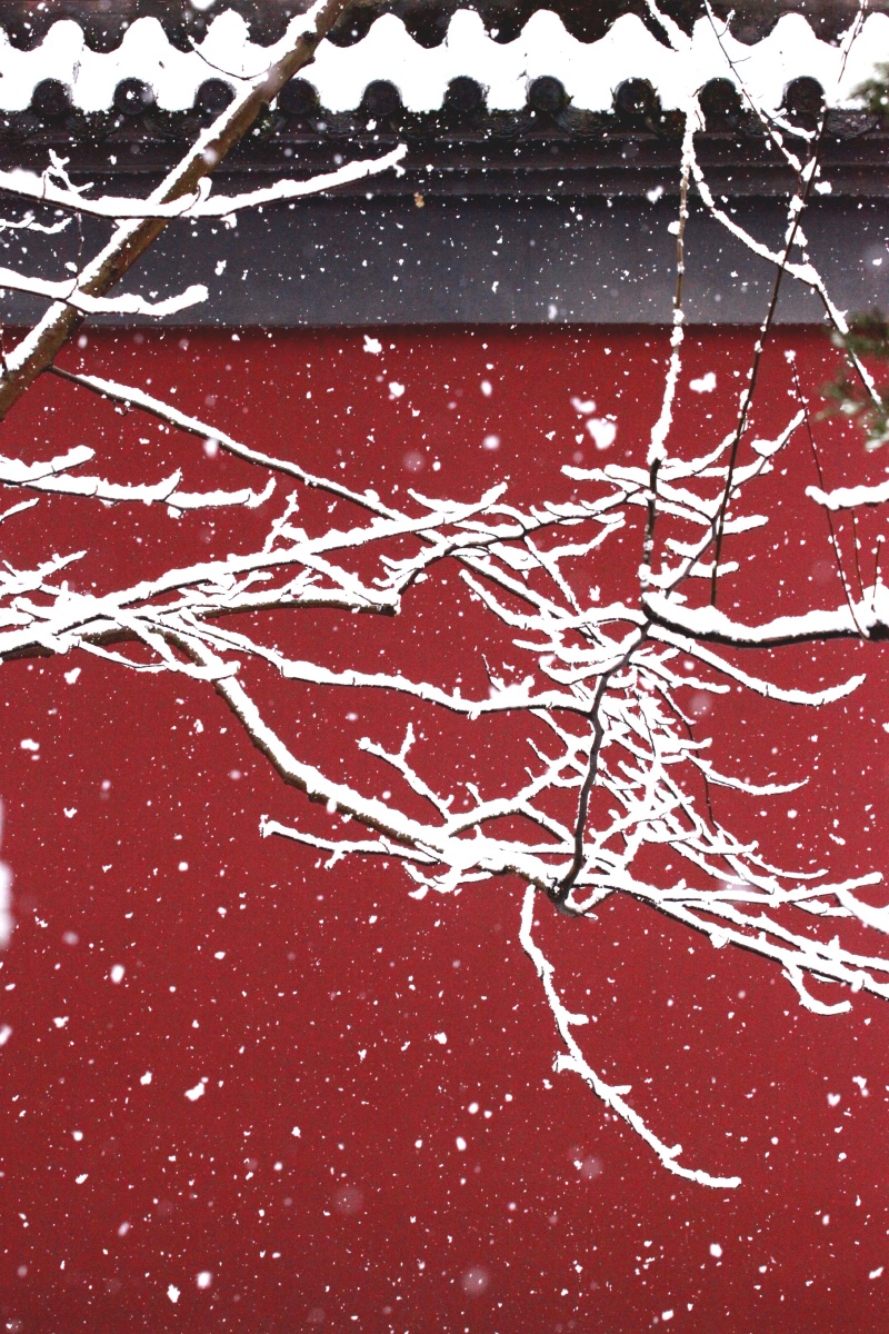 红墙黛瓦皑皑雪