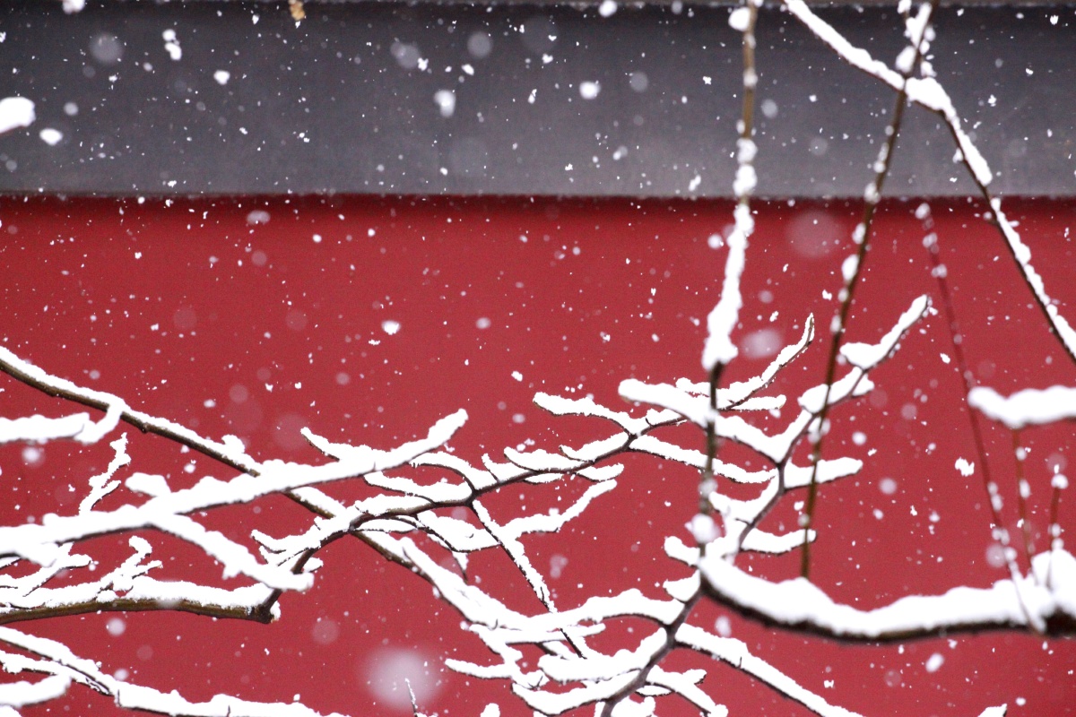 红墙黛瓦皑皑雪