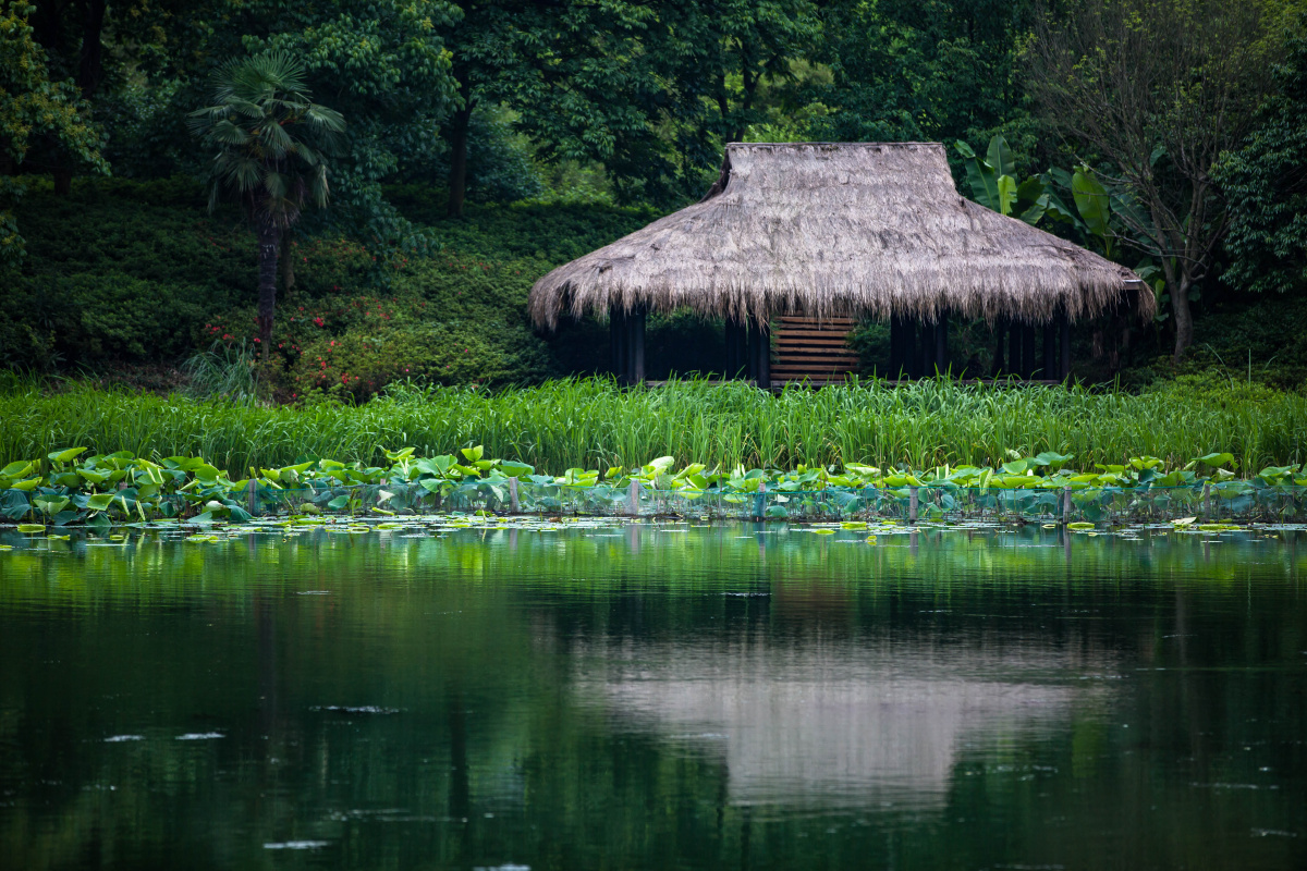 漫步夏日的乌龟潭