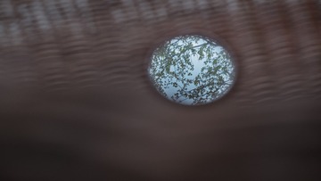 D621FE79-4F10-408C-8433-B2D2773262F6/L0/001