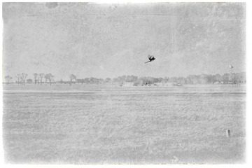 A0FEB8EC-73BB-44BC-92C8-87E9FA6CAC70/L0/001