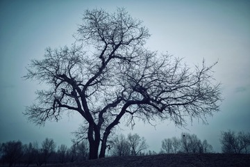 A0C92A38-7777-470C-860F-44D527906403/L0/001