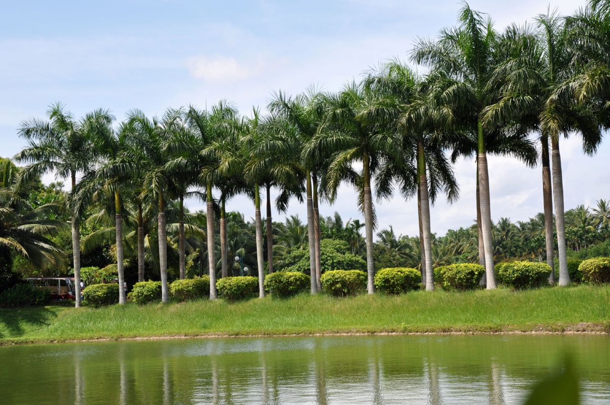 兴隆热带植物园