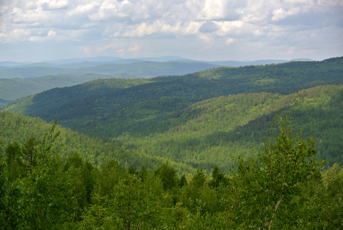 呼伦贝尔莫尔道嘎国家森林公园