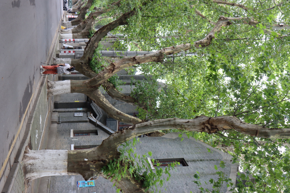 南京梅园新村纪念馆