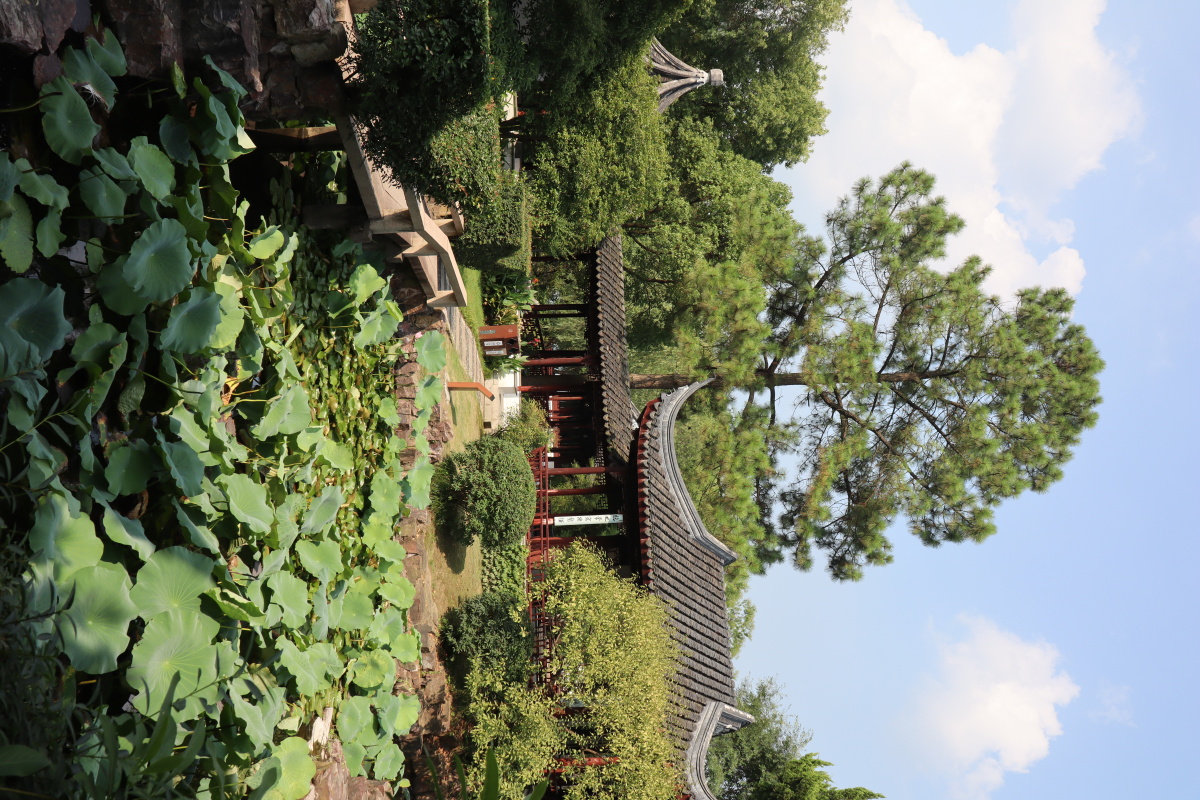 苏州-启园 - 摄影师tomrrey