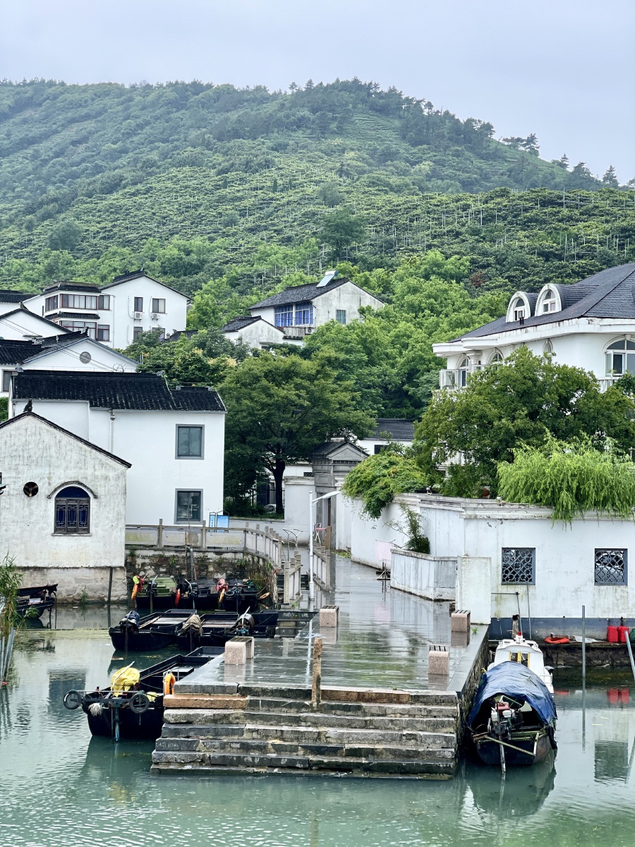 苏州岱心湾大桥