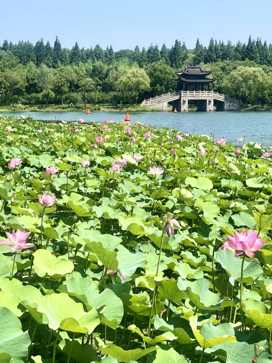 常熟尚湖拂水山庄