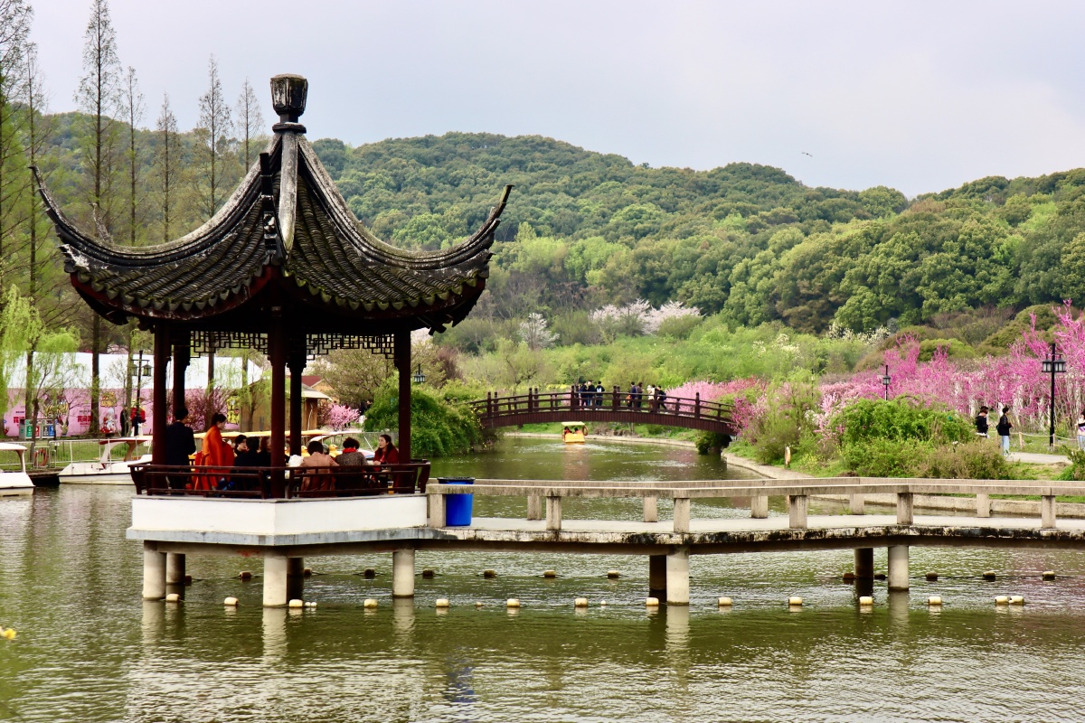 苏州上方山国家森林公园苏州最佳赏樱胜地