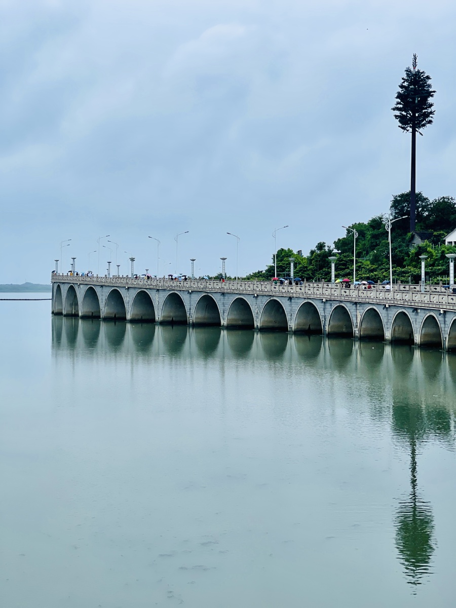 苏州岱心湾大桥