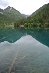 四川-九寨沟 2018-05-22 (41)