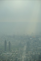 台北-101大楼 2018-05-30 (30)