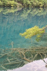 四川-九寨沟 2018-05-22 (37)