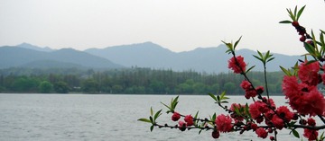 杭州-西湖-苏堤春晓 (9)