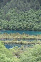 四川-九寨沟 2018-05-22 (14)