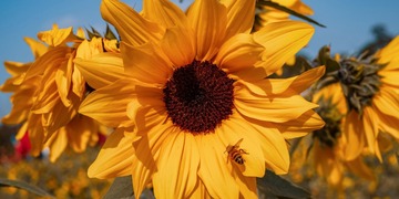 7BEE8ED5-231F-4490-A804-F363B4D5DF56/L0/001