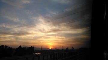56303
