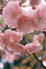 207F43D4-E174-49EE-B4F7-30D73259D2AB/L0/001