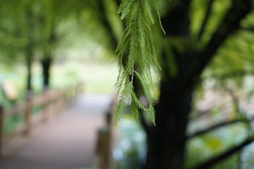 EFBC79E5-377E-49E7-BCE1-1EA7EDE0C280/L0/001